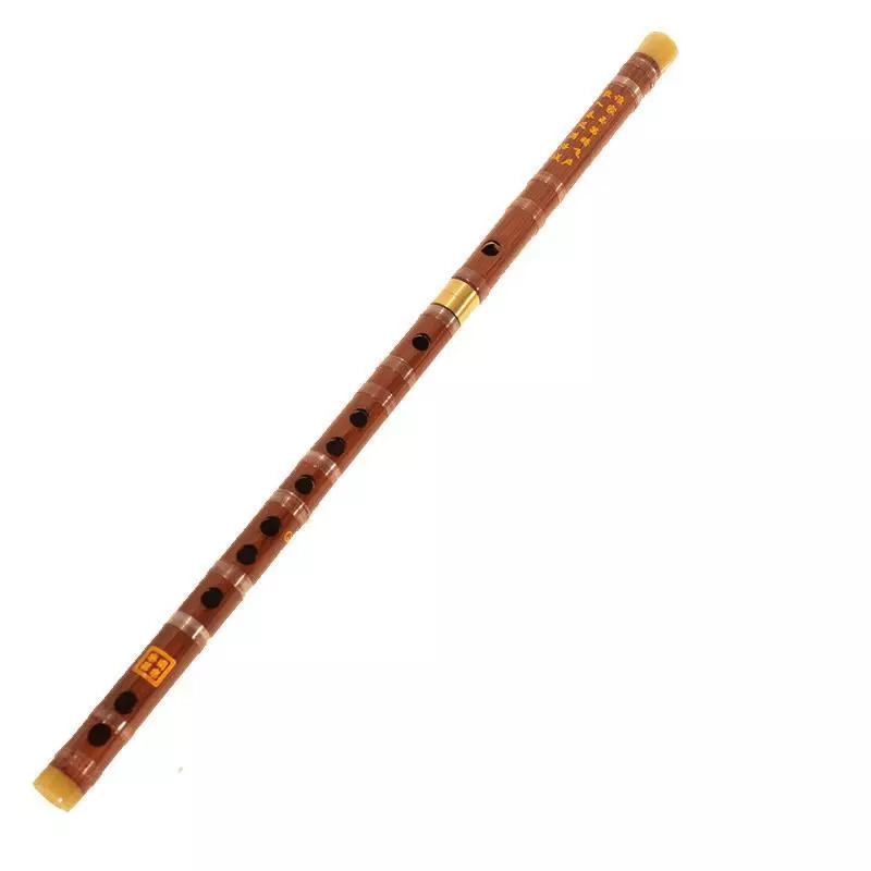 青岛市青少年声乐乐器,青岛市七彩风民族乐团