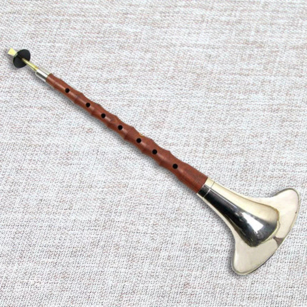 青岛市青少年声乐乐器,青岛市七彩风民族乐团