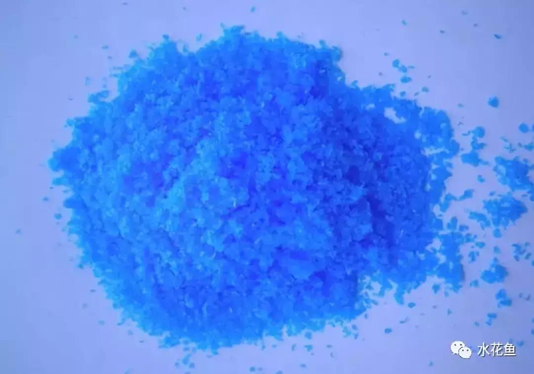 防控蓝藻,蓝藻的危害和防治的方法