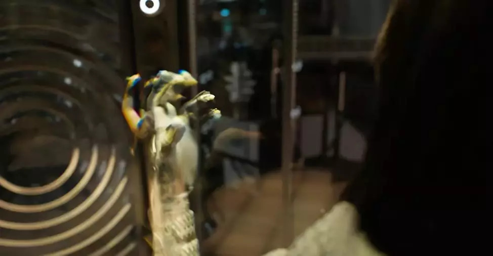 等了49天，我终于搞懂蚁人为什么没出现在《复联3》中