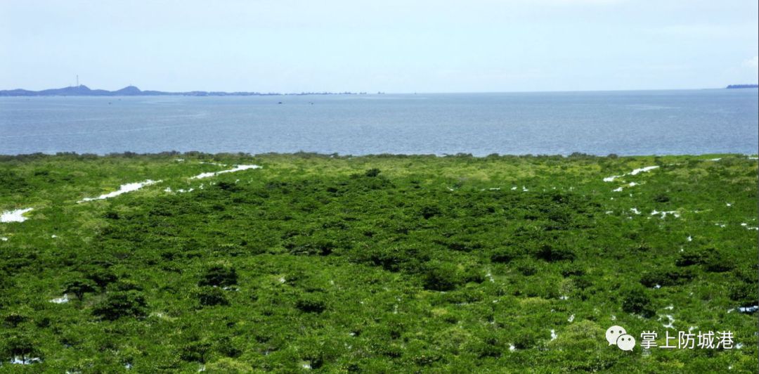 2020防城港开海节海鲜是免费吃吗,新鸿港海鲜市场攻略