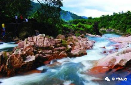 2020防城港开海节海鲜是免费吃吗,新鸿港海鲜市场攻略