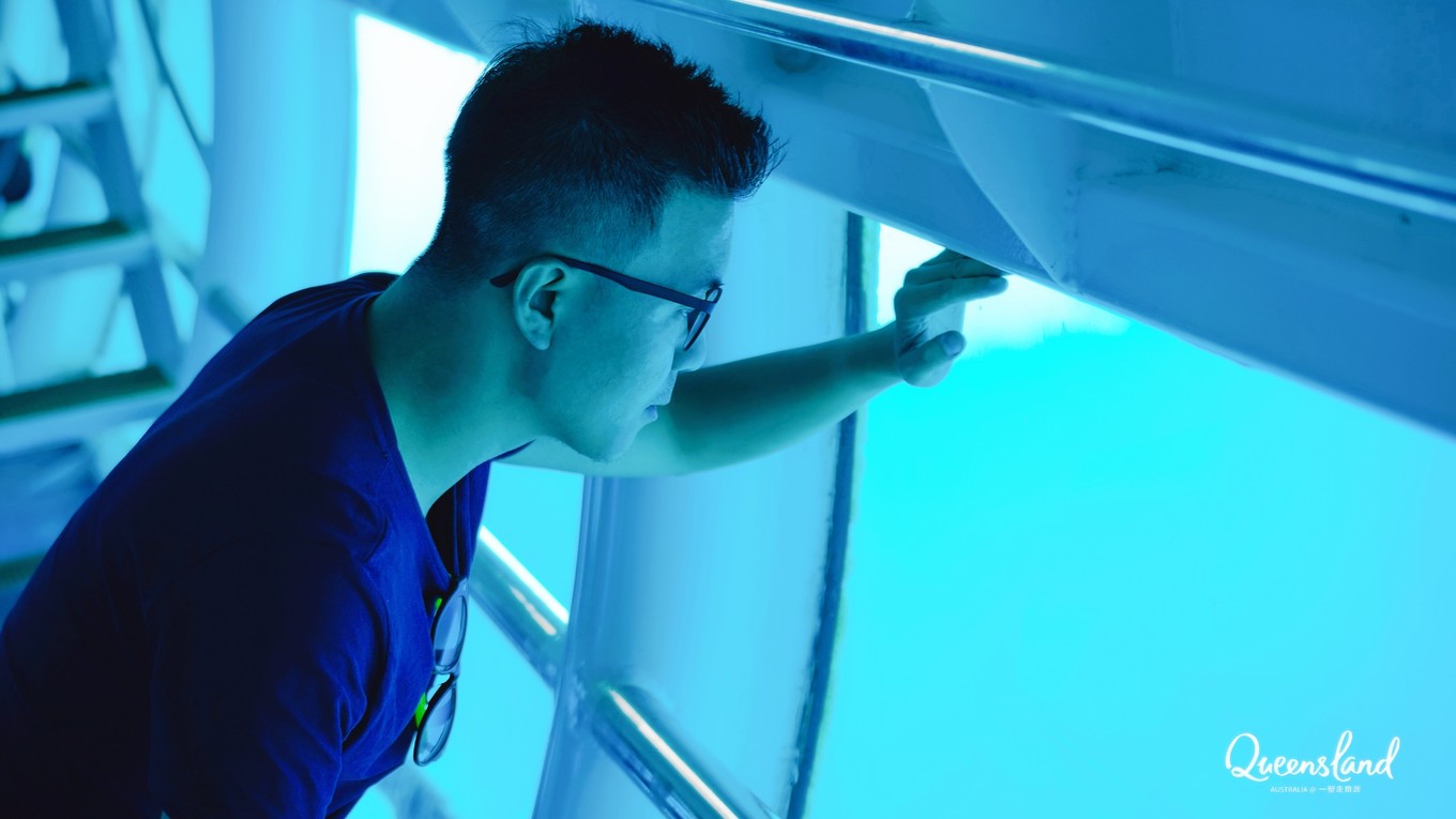 大堡礁值得去吗现在能去吗,大堡礁旅行攻略