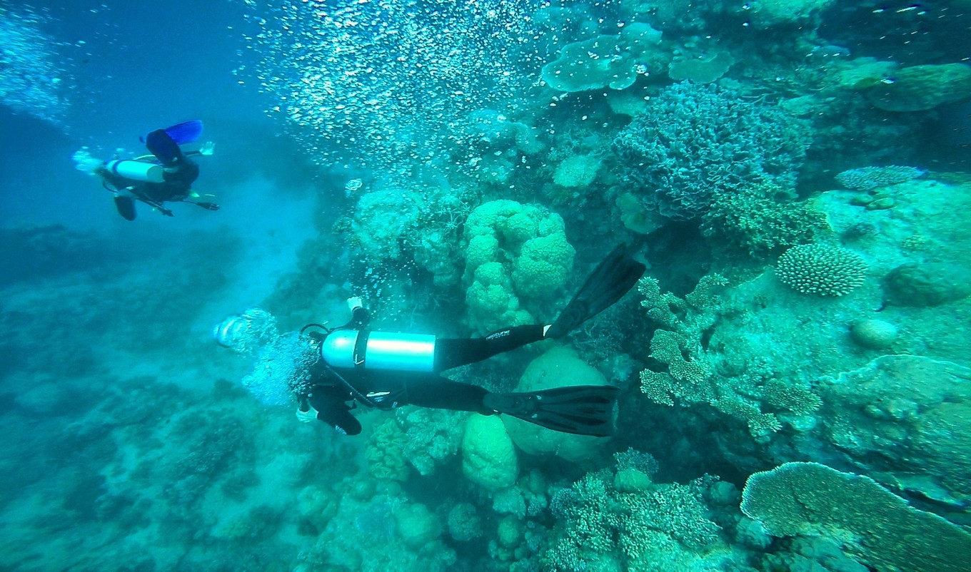 大堡礁值得去吗现在能去吗,大堡礁旅行攻略