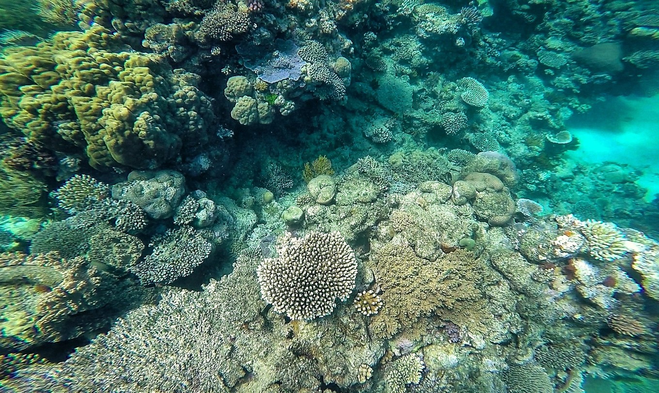 大堡礁值得去吗现在能去吗,大堡礁旅行攻略