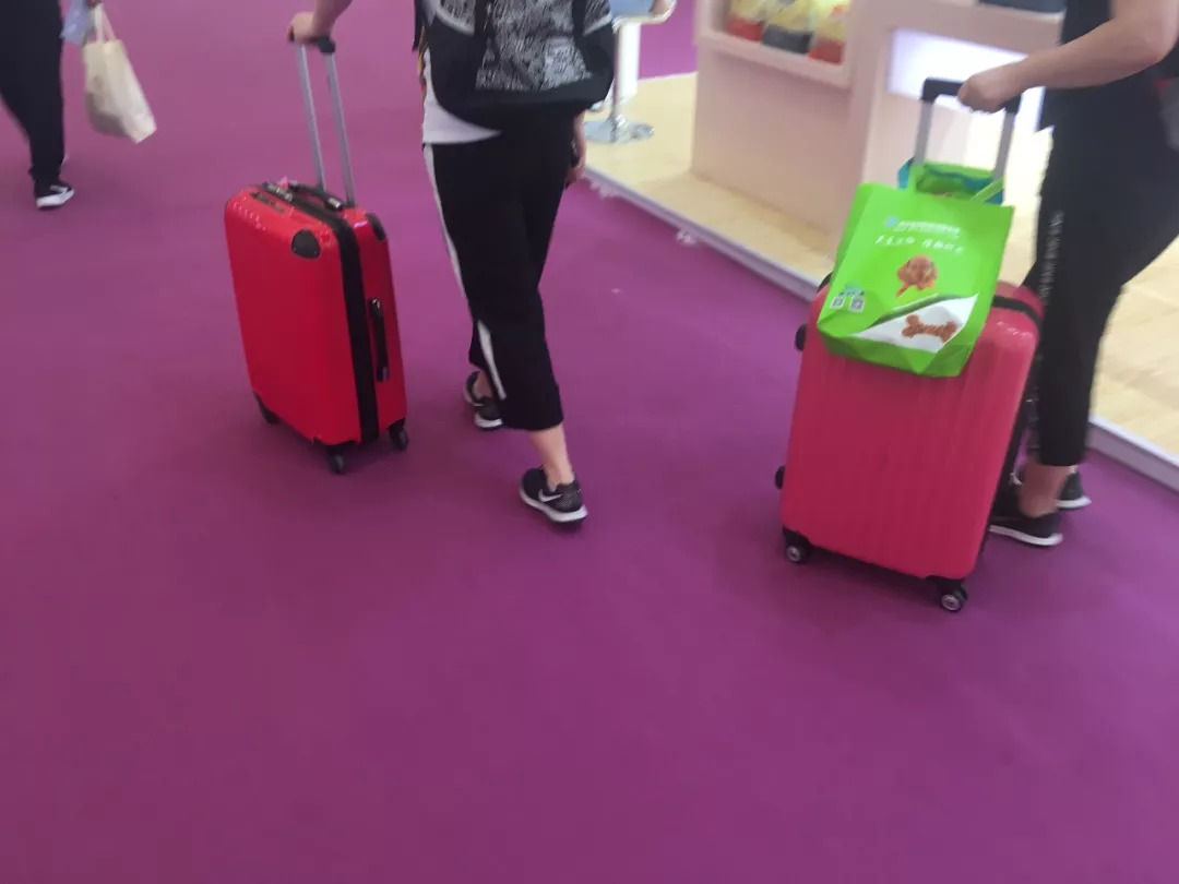 宠物展扫货攻略,宠物展羊毛