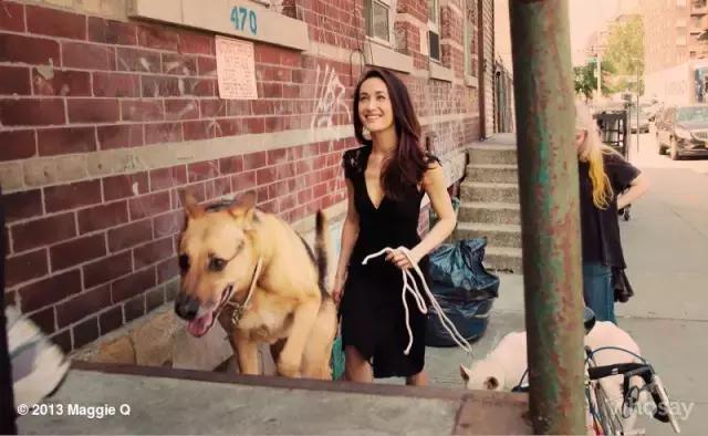 上干货！这些漂亮的女孩为何不馋肉？11位素食主义女星大起底