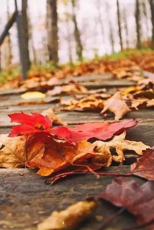 做人做事不要太看透别人,做人要坦荡少说自身秘密