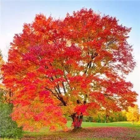 做人做事不要太看透别人,做人要坦荡少说自身秘密