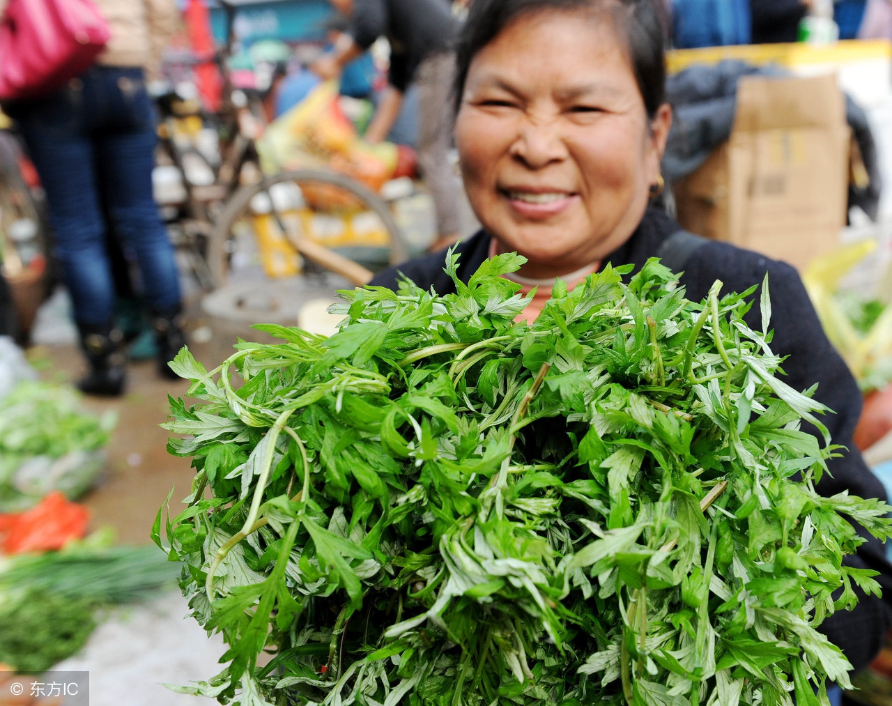 家庭养螨虫最好的方法,家中放一物可以杀灭所有螨虫