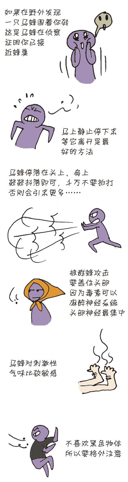 马蜂蛰了怎么办漫画,被马蜂蛰了的图片