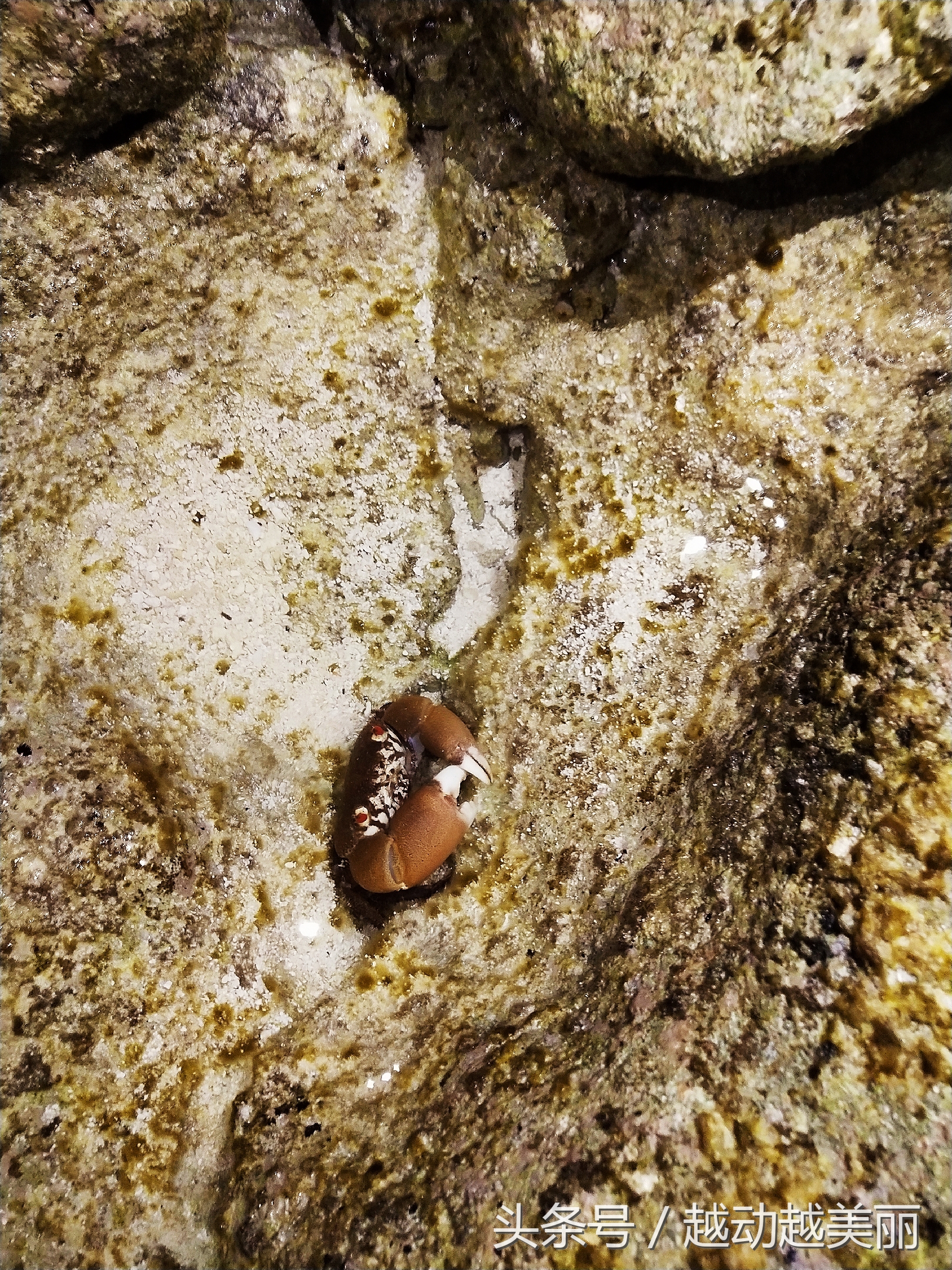 马尔代夫哪个岛浮潜最佳推荐,夏日全民旅行记海滩