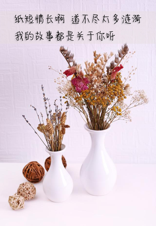 唯美的歌词我如果爱你绝不像攀援的凌霄花借你的高枝炫耀自己