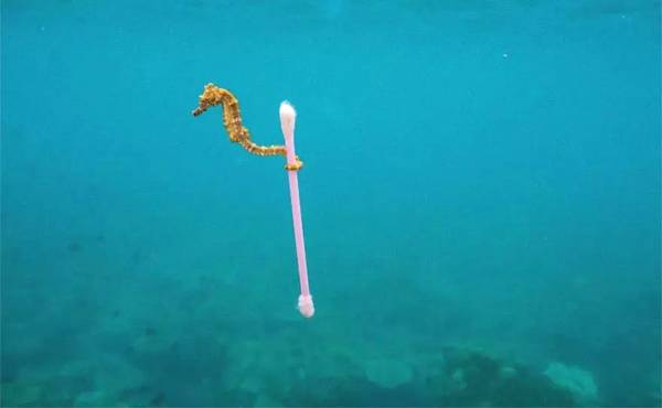 国家地理杂志值得一看吗,中国国家地理杂志推荐