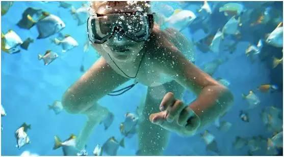 去毛里求斯旅游攻略,毛里求斯旅游详细攻略