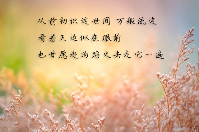 唯美的歌词我如果爱你绝不像攀援的凌霄花借你的高枝炫耀自己