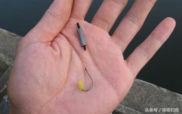 钓鲫鱼和鲤鱼用几克的漂,钓鲫鱼大米好还是碎米好