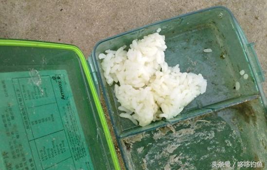 钓鲫鱼和鲤鱼用几克的漂,钓鲫鱼大米好还是碎米好