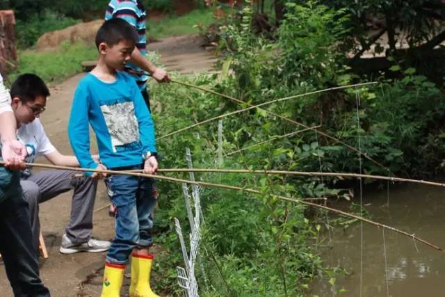 这些号称“绝招”的神技，黔南人你还记得几招？