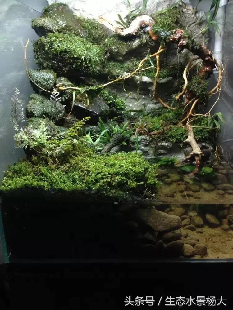 做水陆缸,做水陆缸所需的材料