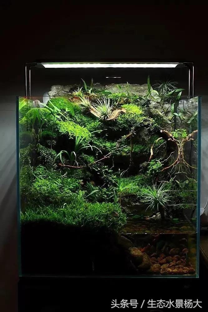 做水陆缸,做水陆缸所需的材料