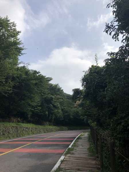 济州岛旅游遇台风,邂逅韩国电视剧国语版