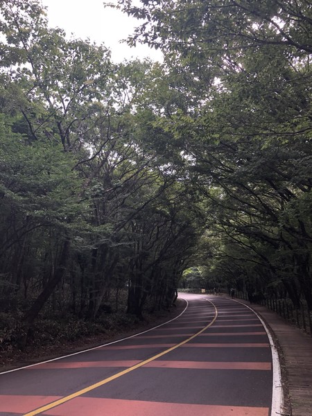 济州岛旅游遇台风,邂逅韩国电视剧国语版