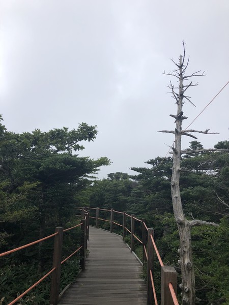 济州岛旅游遇台风,邂逅韩国电视剧国语版