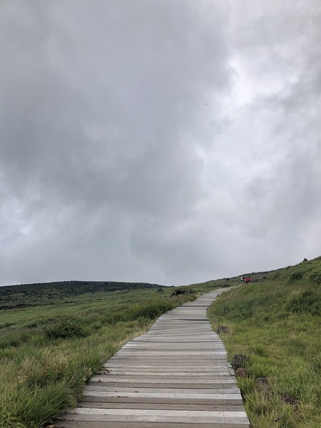 济州岛旅游遇台风,邂逅韩国电视剧国语版
