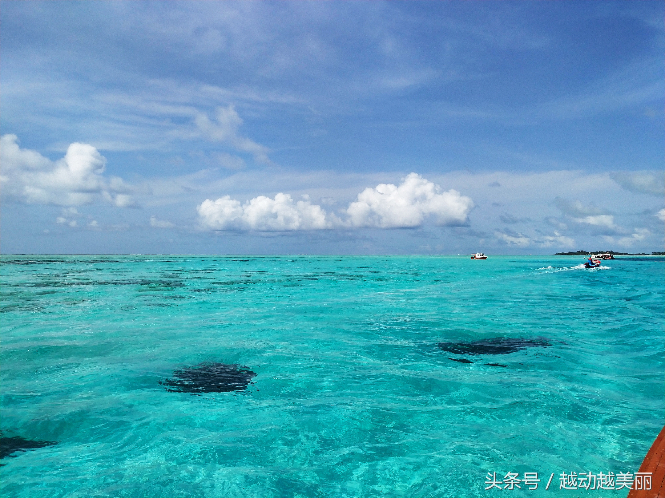 马尔代夫哪个岛浮潜最佳推荐,夏日全民旅行记海滩