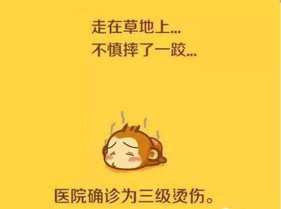 天气热锦鲤在池底不动,天太热锦鲤不怎么动