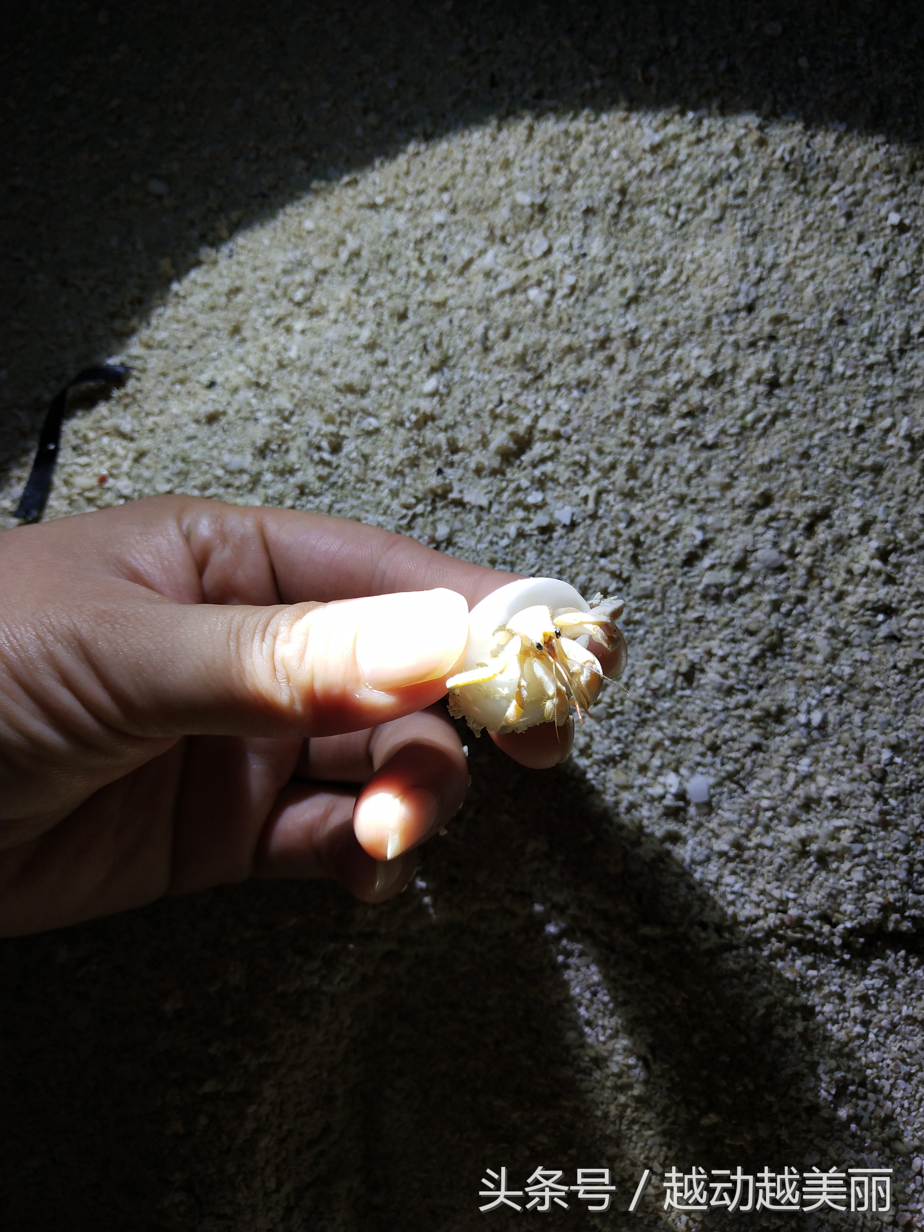 马尔代夫哪个岛浮潜最佳推荐,夏日全民旅行记海滩