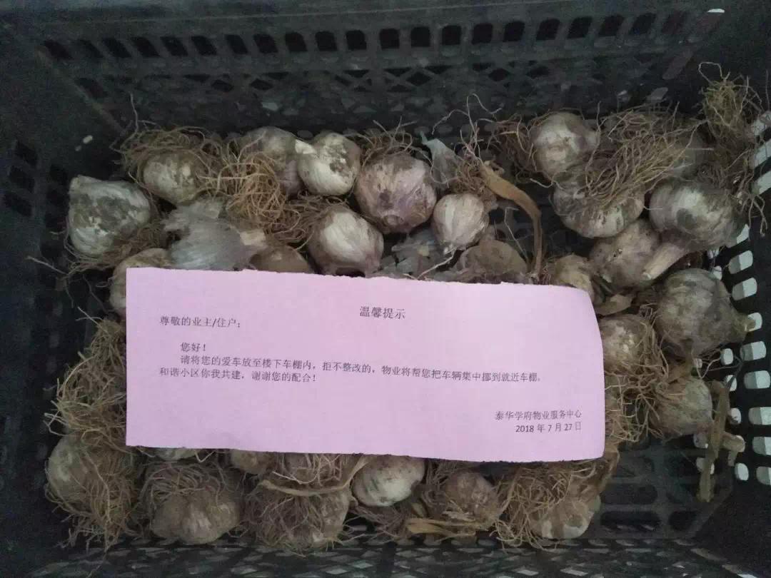 泰华物业照片,泰华物业最新状况