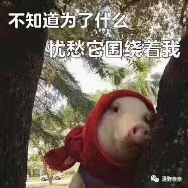 脸上的痘痘该怎么快速清除学生党,脸上痘痘反反复复怎么调理好肌肤