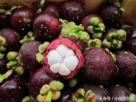 山竹怎么挑选才是新鲜的,如何挑选山竹才是最新鲜的