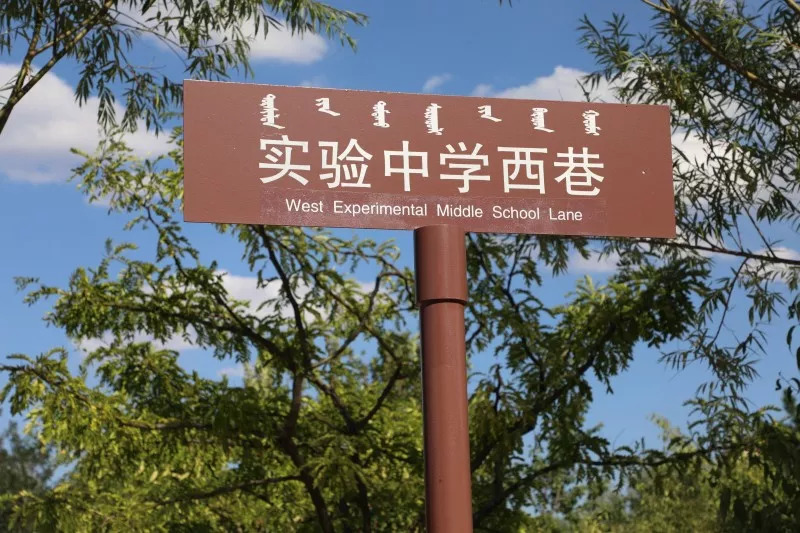 东胜的公立幼儿园有哪些,有了它你还怕迷路吗