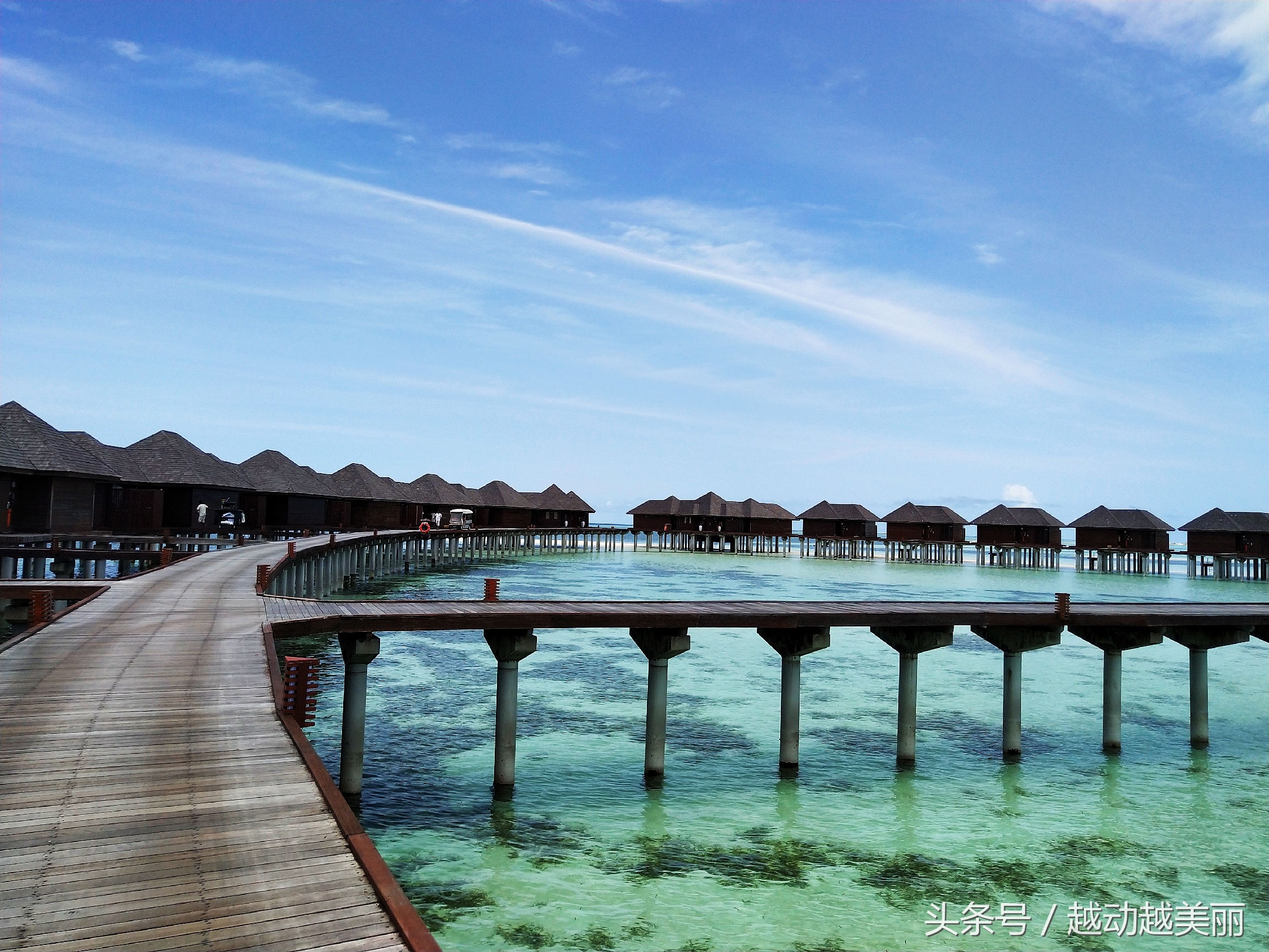 马尔代夫哪个岛浮潜最佳推荐,夏日全民旅行记海滩