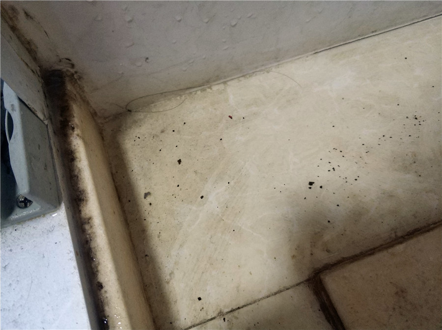 美国eureka,eureka蒸汽清洁机测评