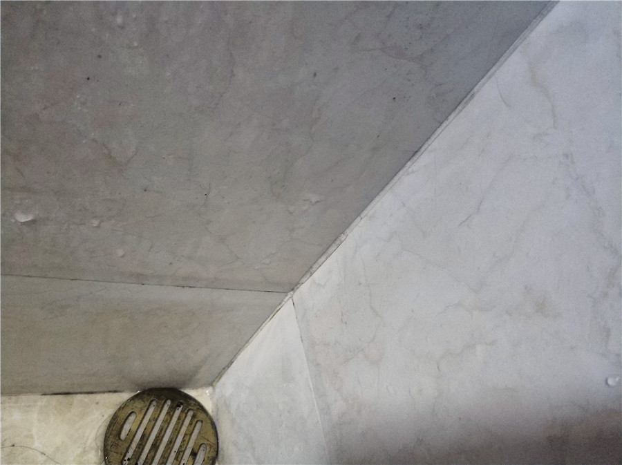 美国eureka,eureka蒸汽清洁机测评