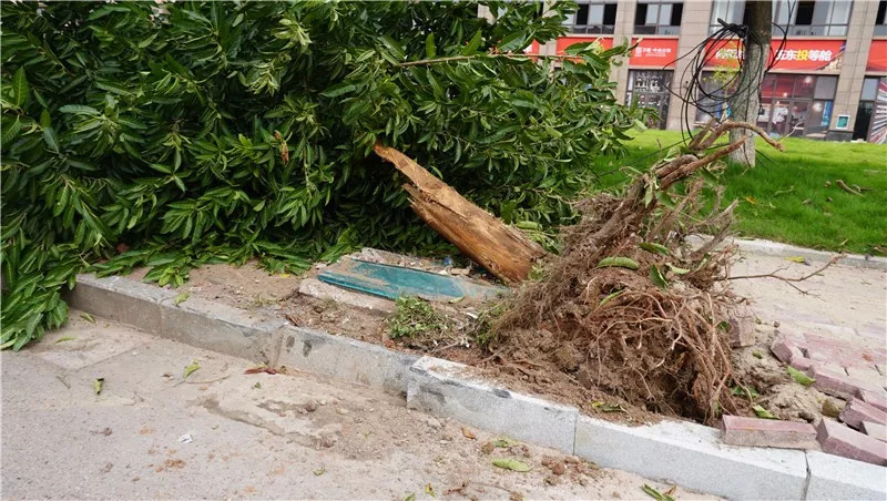 凯美瑞交通事故,凯美瑞高速死亡事故