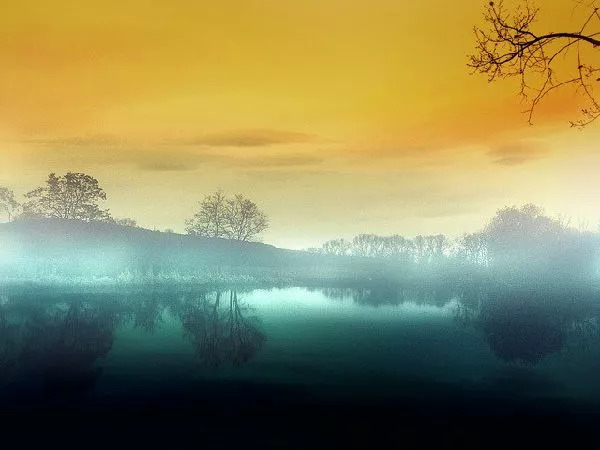 管恩锋简介,管恩锋品读好诗词