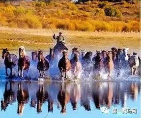 为什么阿谀奉承的人很吃香,如何称呼阿谀奉承拍马屁的人