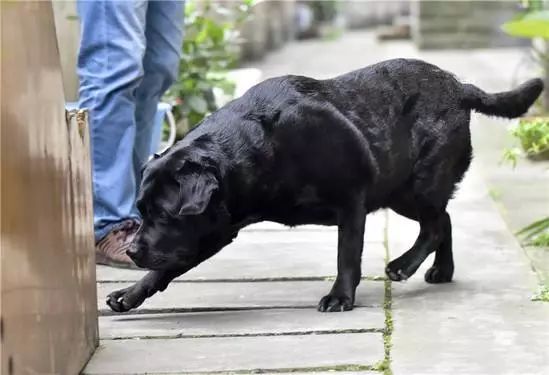 濮阳最近被曝光的小区,最新濮阳新闻报道小区