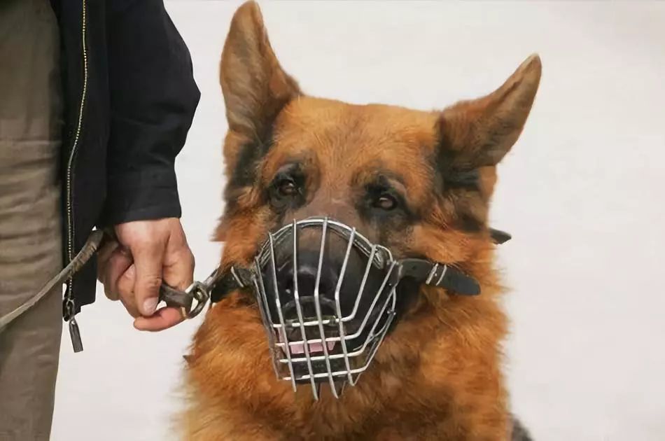 濮阳最近被曝光的小区,最新濮阳新闻报道小区