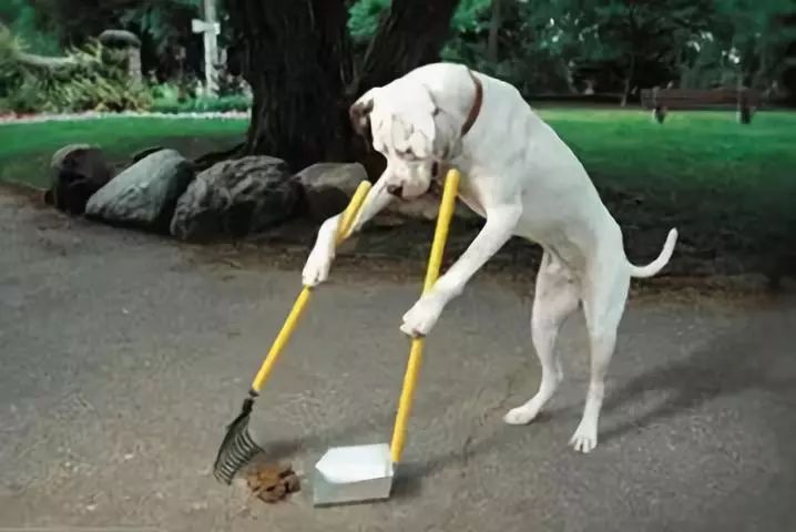 濮阳最近被曝光的小区,最新濮阳新闻报道小区