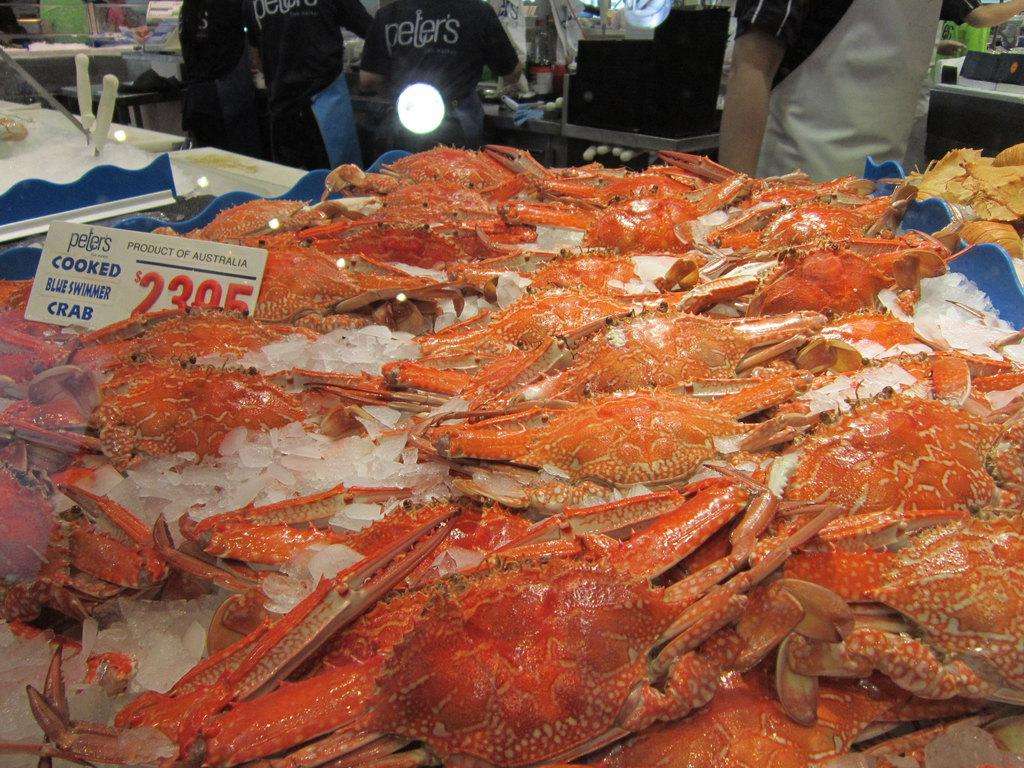 澳洲悉尼鱼市场,澳大利亚海鲜鱼市场