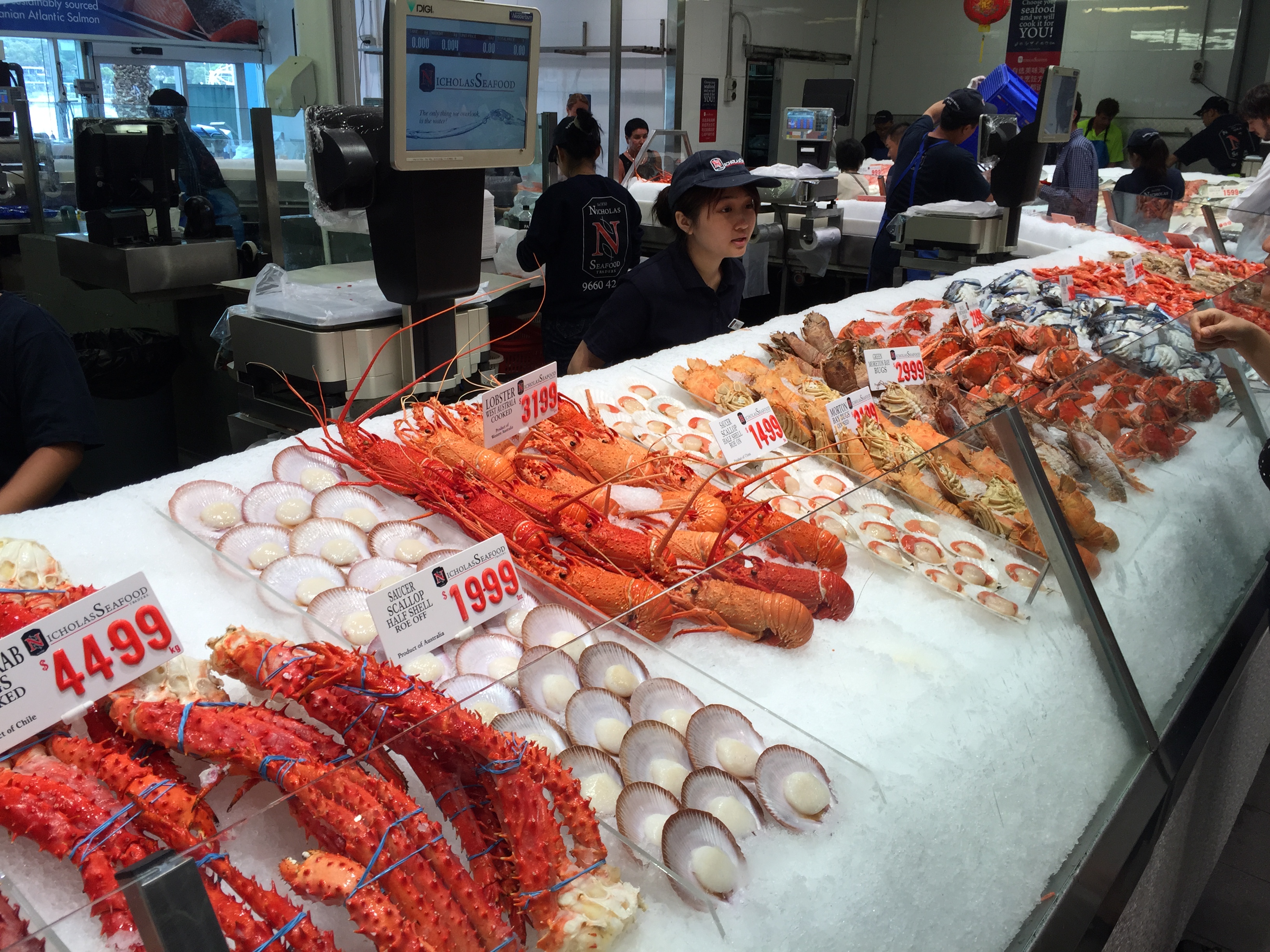 澳洲悉尼鱼市场,澳大利亚海鲜鱼市场