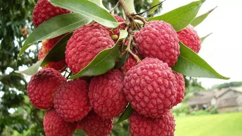 当巽寮湾五星遇上从化温泉！¥699=海王子亲海房+望谷国际公寓私家泡池房~还买1送1