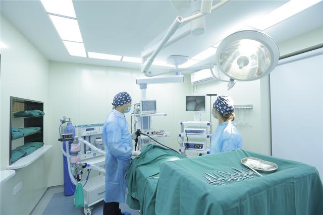 武汉最好的宠物医院排名,武汉比较正规的宠物医院