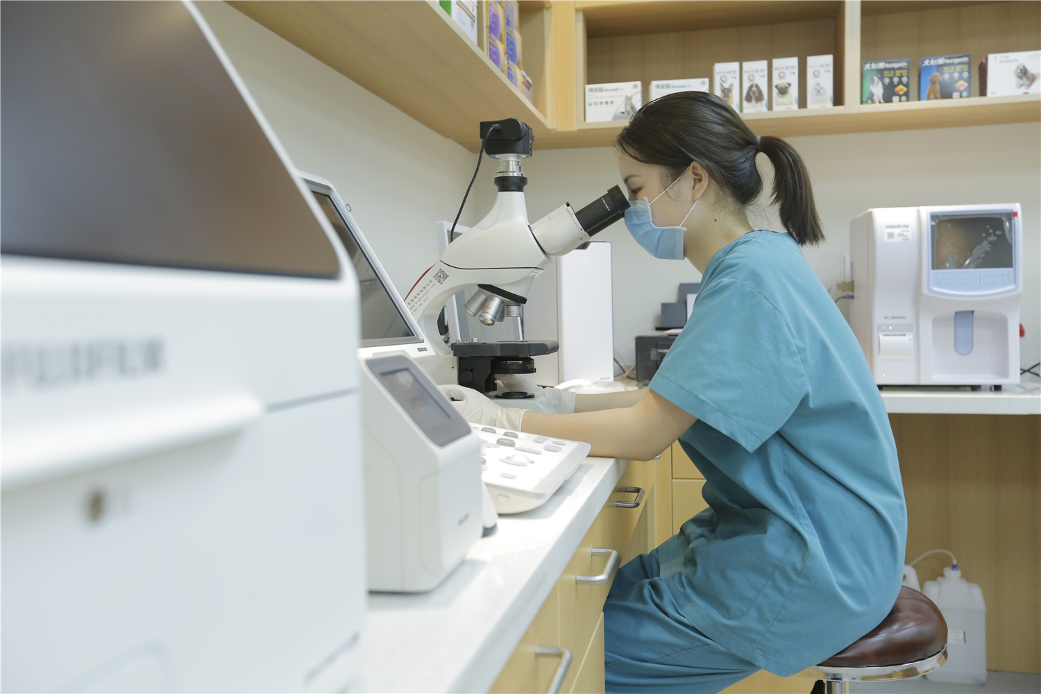 武汉最好的宠物医院排名,武汉比较正规的宠物医院